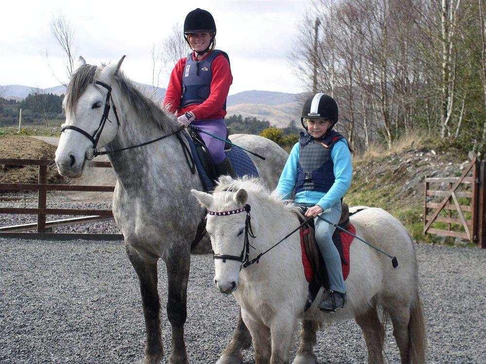 Eclipse Holiday Homes & Adventure Centre Kenmare Kültér fotó