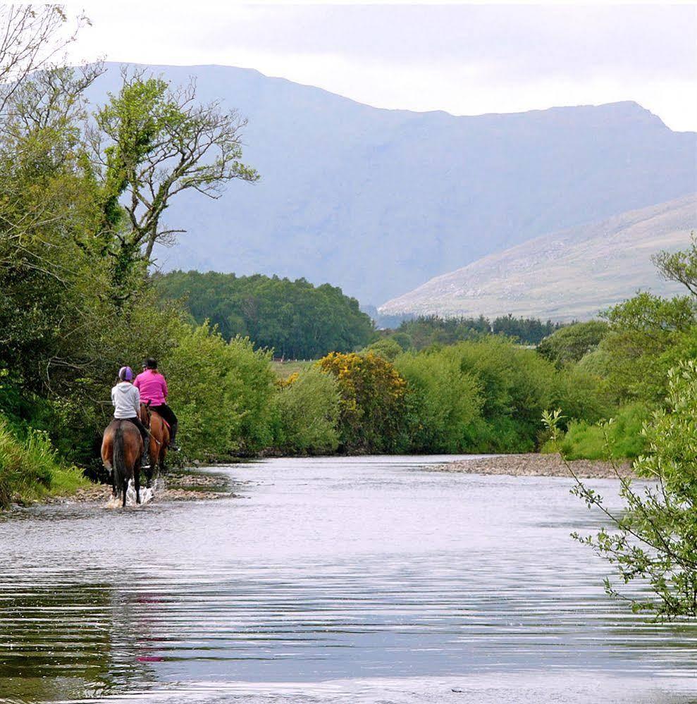 Eclipse Holiday Homes & Adventure Centre Kenmare Kültér fotó